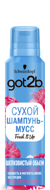 Fresh it Up  Fresh it Up