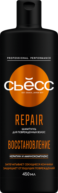 Repair  Repair