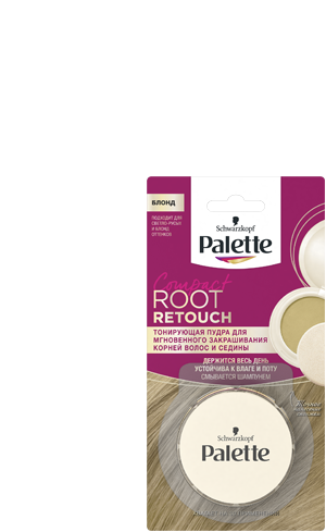 Блонд  Блонд